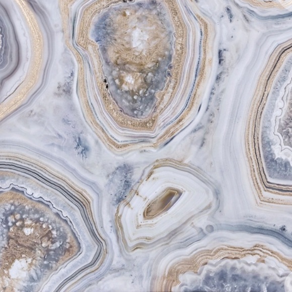 Meet your Posher, Perla - Picture 1 of 1